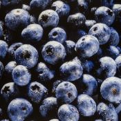 027 fooddrink