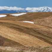 Trentino Passo Bordala