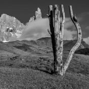 Trentino Passo Rolle Baita Cervino
