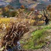 Trentino Val di Cembra Sevignano
