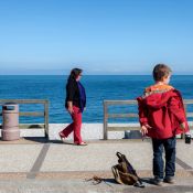 Progetto Rive